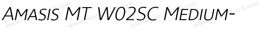 Amasis MT W02SC Medium字体转换